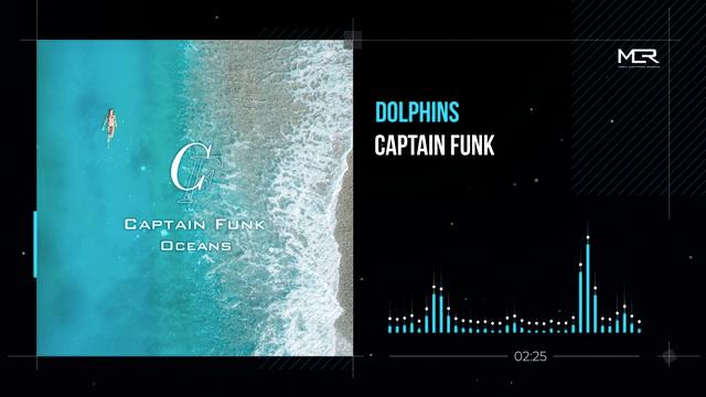 Captain Funk - Dolphins (Visualizer)