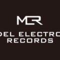 Model Electronic Records